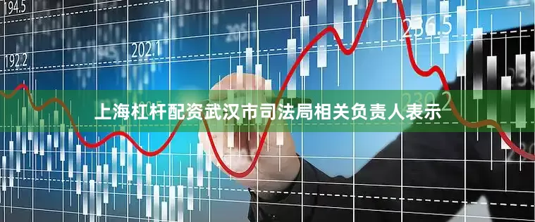 上海杠杆配资武汉市司法局相关负责人表示