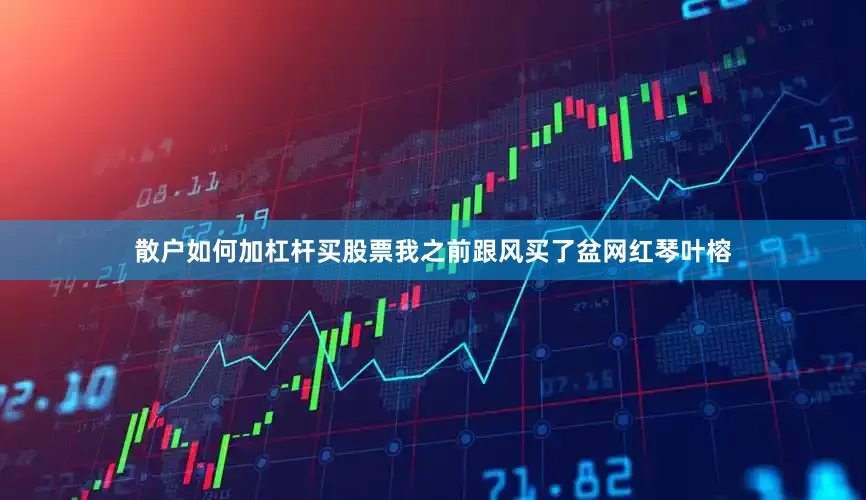 散户如何加杠杆买股票我之前跟风买了盆网红琴叶榕