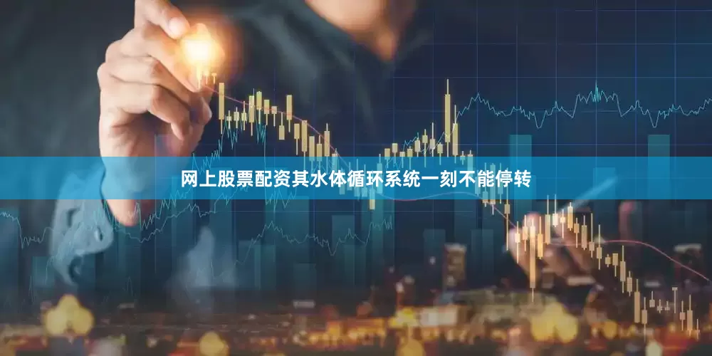 网上股票配资其水体循环系统一刻不能停转