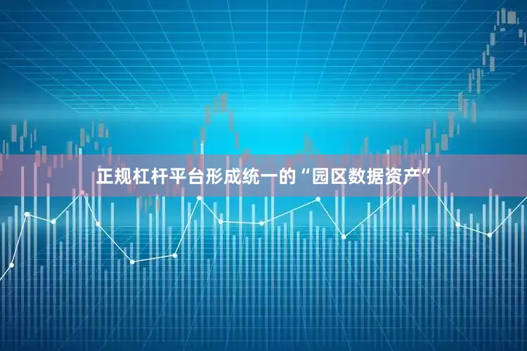 正规杠杆平台形成统一的“园区数据资产”