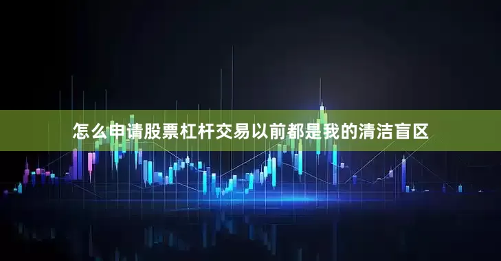 怎么申请股票杠杆交易以前都是我的清洁盲区