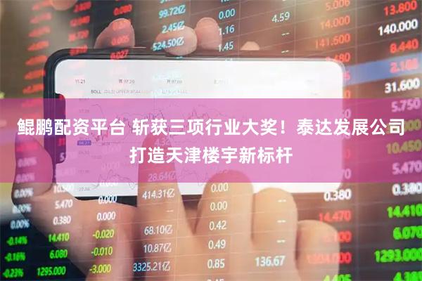 鲲鹏配资平台 斩获三项行业大奖！泰达发展公司打造天津楼宇新标杆